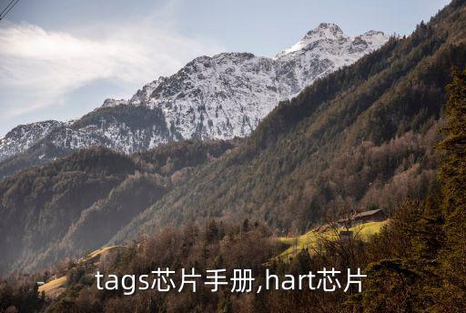 hitags芯片手冊,hart芯片...